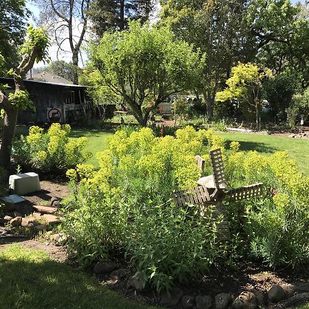 Trailside Inn Bed And Breakfast Calistoga Exteriör bild